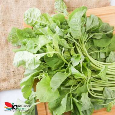 Sayur Bayam Hijau Organik Inagreen 250 Gram Bandung