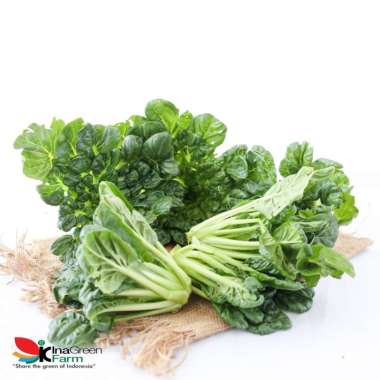 Sayur Pagoda Organik Inagreen 250 Gram Bandung