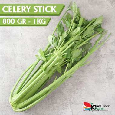 Seledri Batang Besar / Celery Stick Inagreen Farm Bandung
