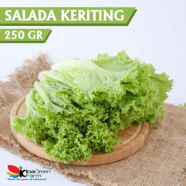 Sayur Selada Keriting Organik Inagreen 250 Gram Bandung