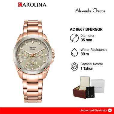 Jam Tangan Alexandre Christie AC 8667 BFBRGGR Wanita