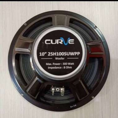 Speaker Curve 10 Inch Woofer