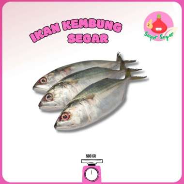 Ikan Kembung/Ikan Kembung Banjar/Ikan Kembung Segar 500gr Bawangbagus
