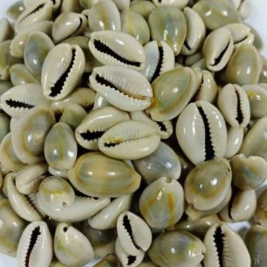 Kewuk Abu / Kuwuk Abu 200 gram