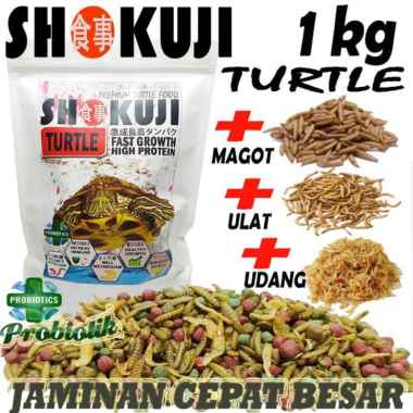 3KG SHOKUJI PELET BRAZIL RES RAZORBACK MAKANAN KURAKURA AIR BRASIL DAMER CST PAKAN PREMIUM TURTLE FO