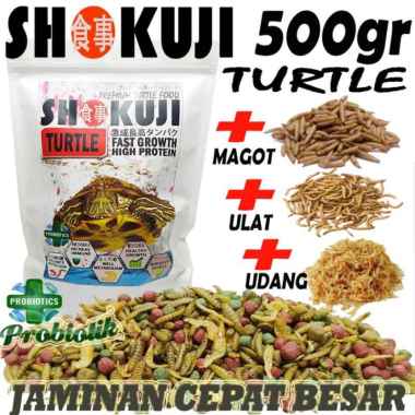 3KG SHOKUJI PELET BRAZIL RES RAZORBACK MAKANAN KURAKURA AIR BRASIL DAMER CST PAKAN PREMIUM TURTLE FO
