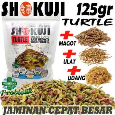 3KG SHOKUJI PELET BRAZIL RES RAZORBACK MAKANAN KURAKURA AIR BRASIL DAMER CST PAKAN PREMIUM TURTLE FO