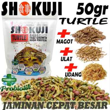 3KG SHOKUJI PELET BRAZIL RES RAZORBACK MAKANAN KURAKURA AIR BRASIL DAMER CST PAKAN PREMIUM TURTLE FO
