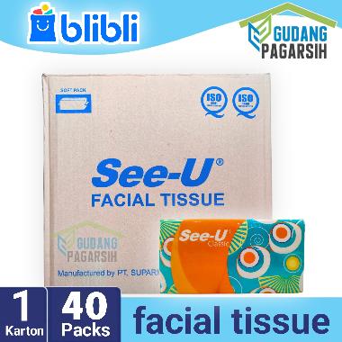 SEE-U Classic Facial Tissue 250 Sheets 2 Ply [40 pcs/ Karton] PUTIH