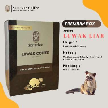 Kopi Luwak liar Coffee Arabica Specialty Grade Premium Box | Hampers Kado gift box set Specialty Cof