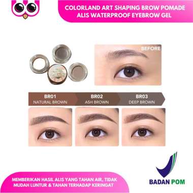 POMADE BROW YOU COLORLAND EYEBROW GEL POMADE CREAM / ALIS WATERPROOF LONGWEAR NATURAL BROWN