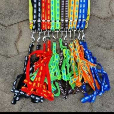 HARNES PLUS TALI PENUNTUN DOG CAT LEASH 1 SET