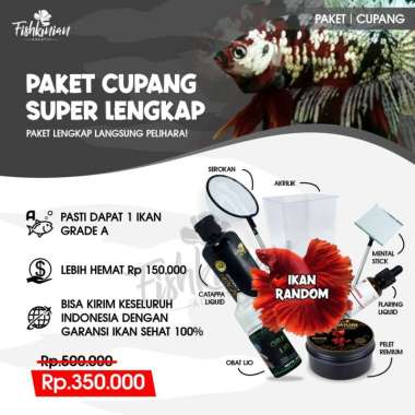 Paket Ikan Cupang Super Lengkap