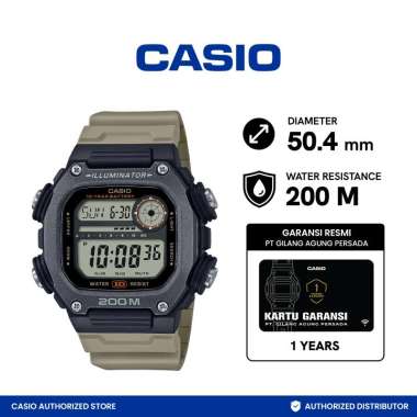 jam tangan pria casio general DW-291HX-5AVDF