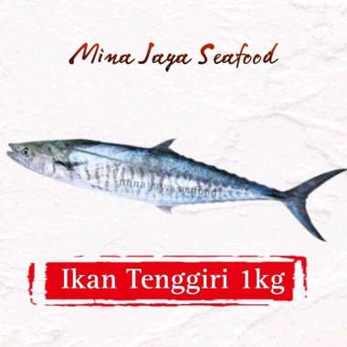 ikan tenggiri segar | ikan laut segar