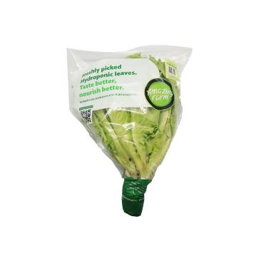 Jual Amazing Farm Tauge Jepang Pack Di Seller Hypermart Flagship Store ...
