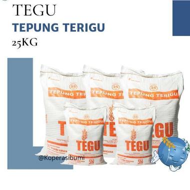 Tepung Terigu Tegu 25kg