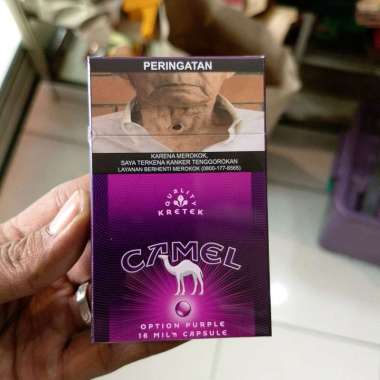 Camel Option Purple 16 batang