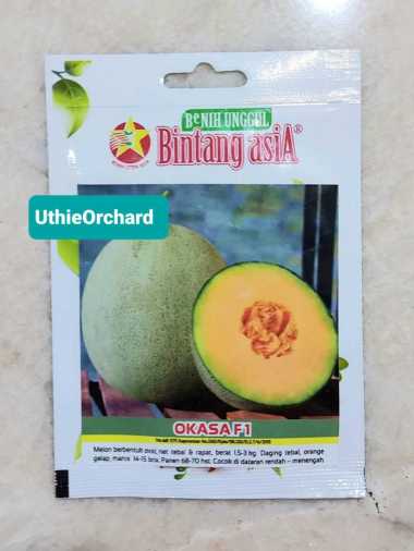 Benih Bintang Asia - Rock Melon Okasa F1 Kemasan 0,5 gr