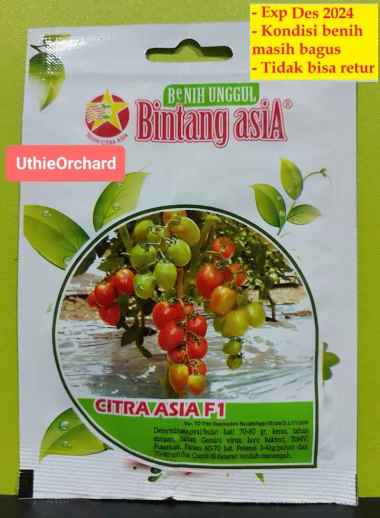 Benih Bintang Asia - Tomat Citra Asia F1 Kemasan 0,5 gr