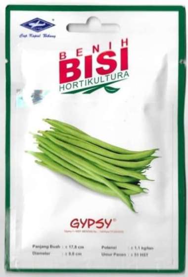 Benih Bisi (Cap Kapal Terbang) - Buncis Gypsy