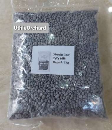 Meroke TSP (MerokeTSP) Pupuk Tripel Super Fosfat Kemasan Repack 1 kg