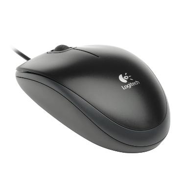 Logitech B100 Black Mouse
