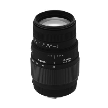 Sigma 70-300 f/4-5.6 DG Macro Lens ...