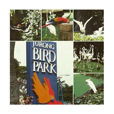 Jual Point Tour Jurong Bird Park Singapore E-Ticket [Adult 