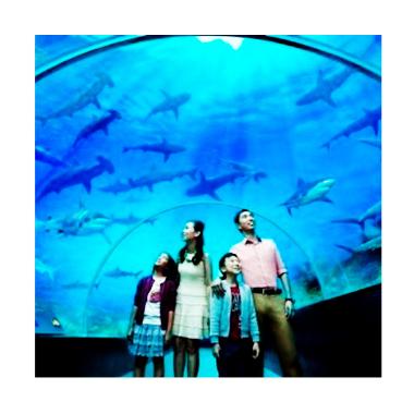 Jual Point Tour - SEA Aquarium Singapore E-Ticket Paket 