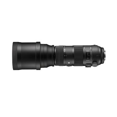 Sigma 150-600mm F5-6.3 DG OS HSM Sports Lensa Kamera for Nikon
