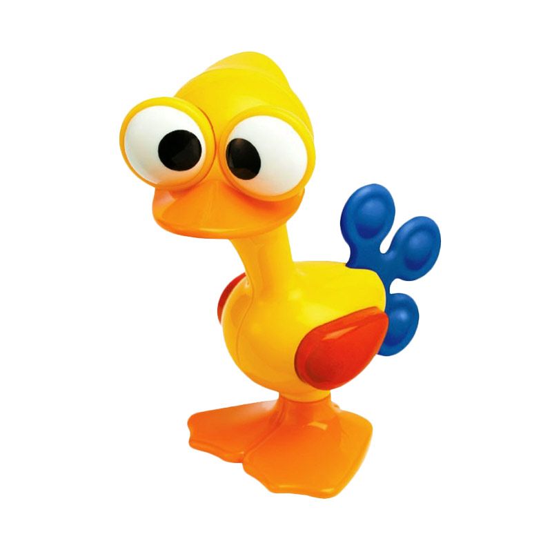 Tolo Crazy Eyes Bird