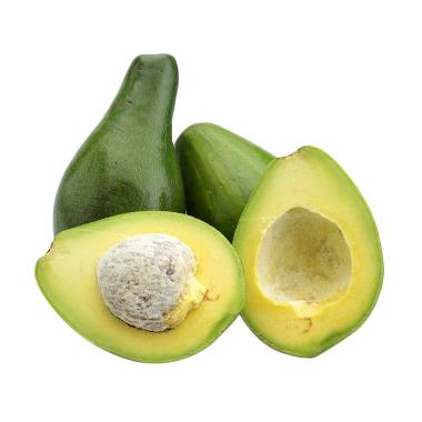 Alpukat Avocado Jakarta Blibli.com Alpukat Avocado Jakarta Blibli.com