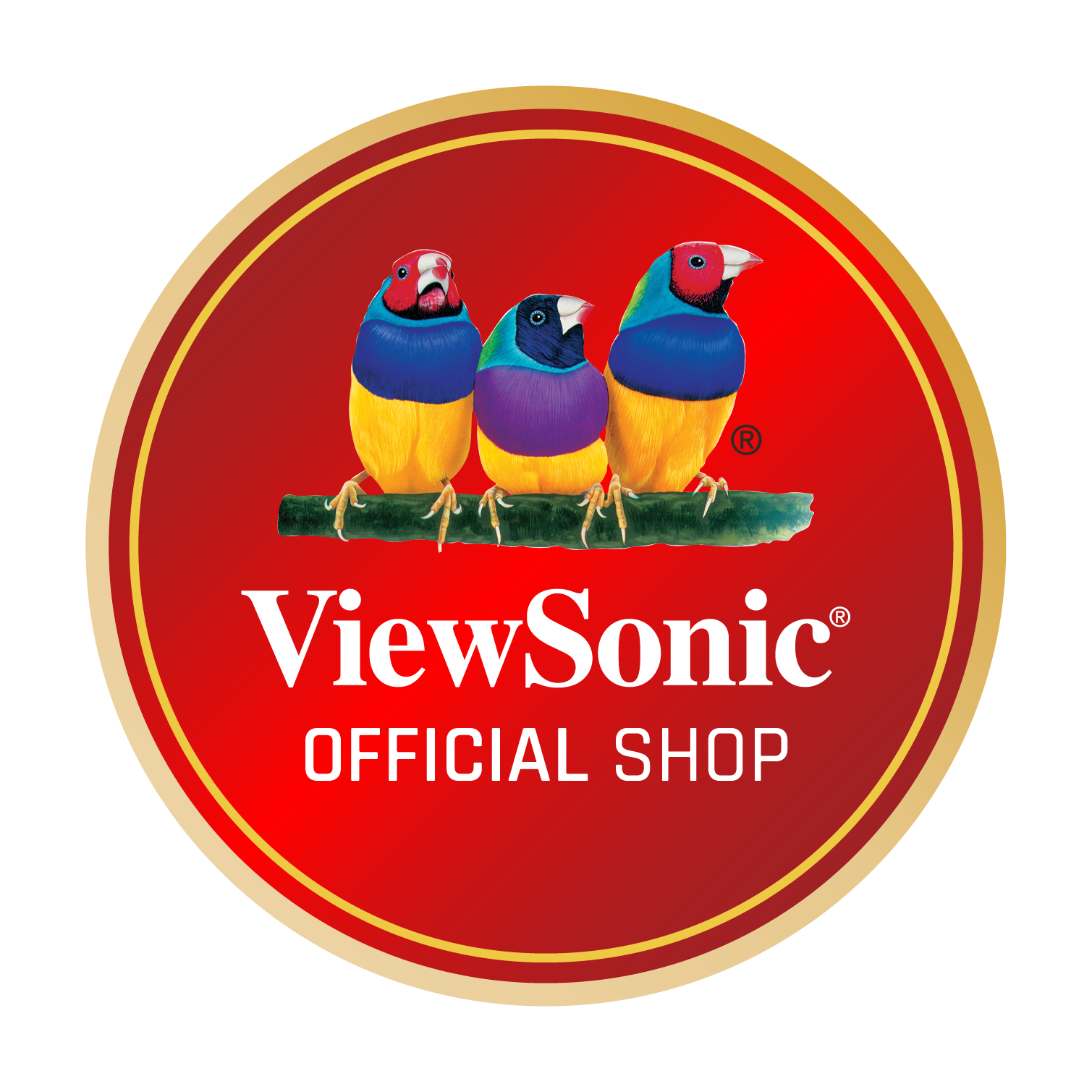 ViewSonic Official Store