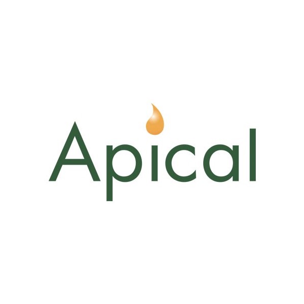 Apical