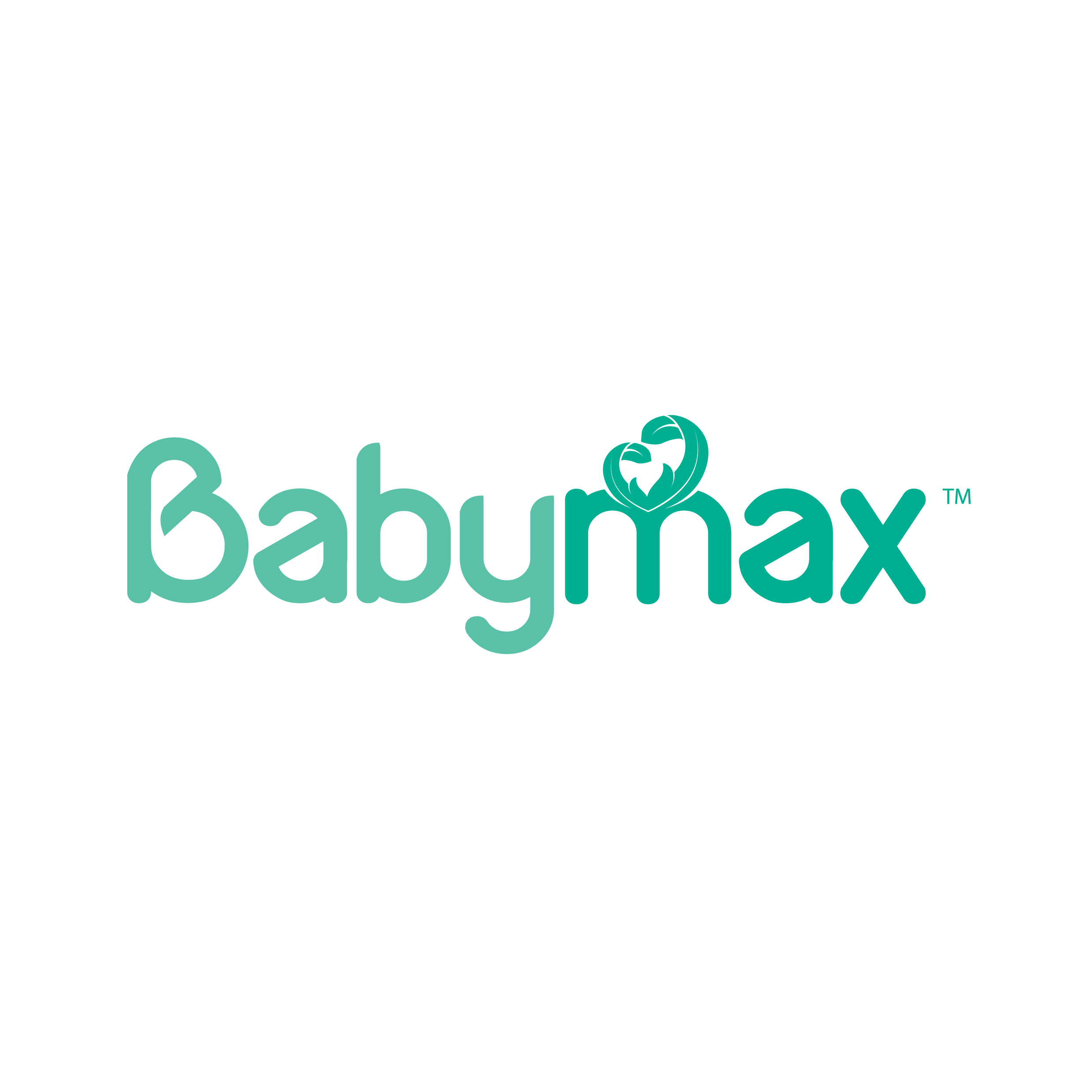 Babymax Official Store