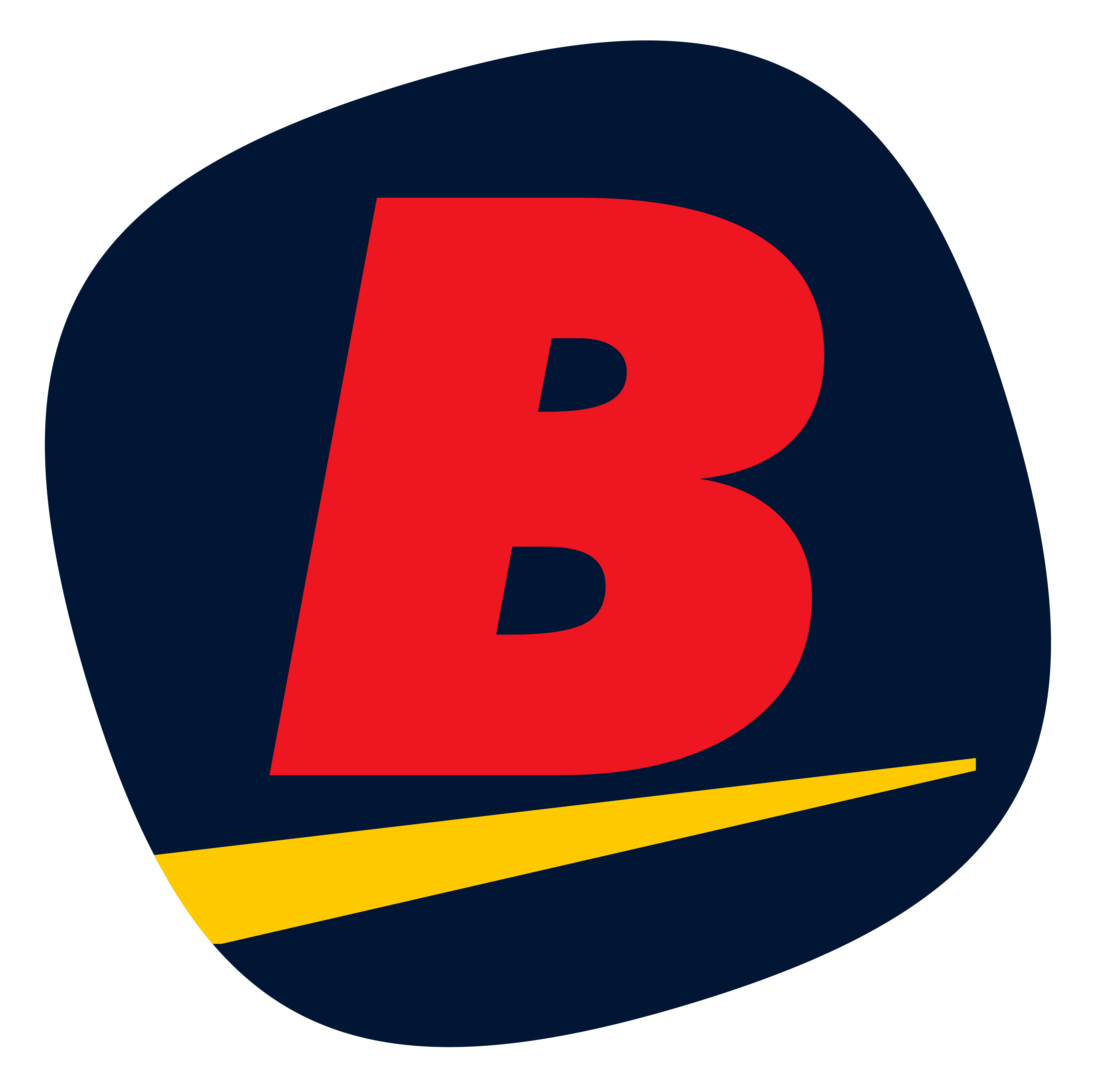 Bhinneka.com Official Store