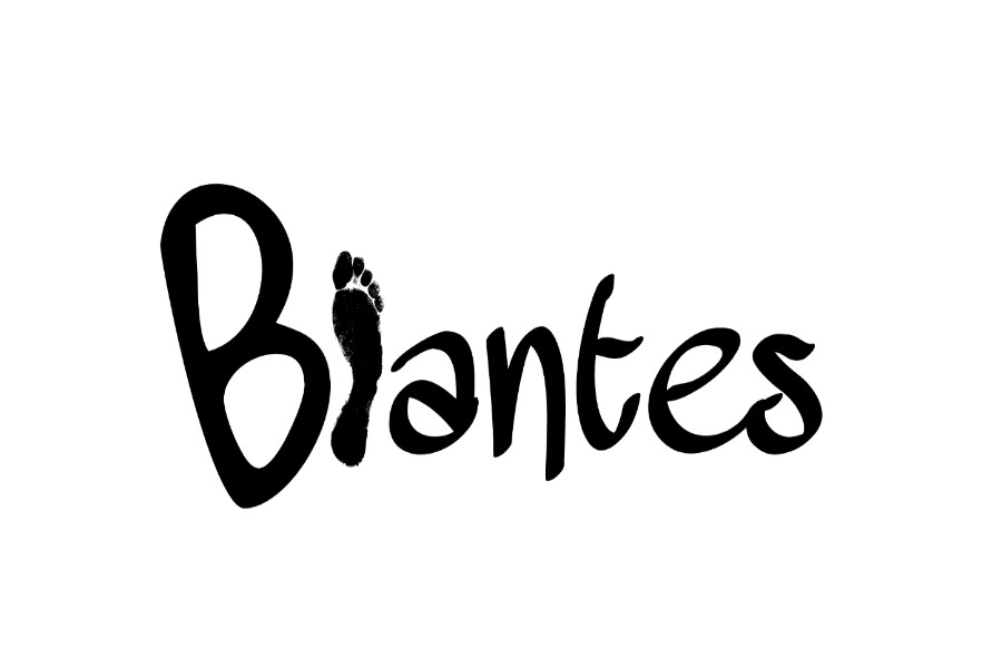 Biantes Shoes Official Store