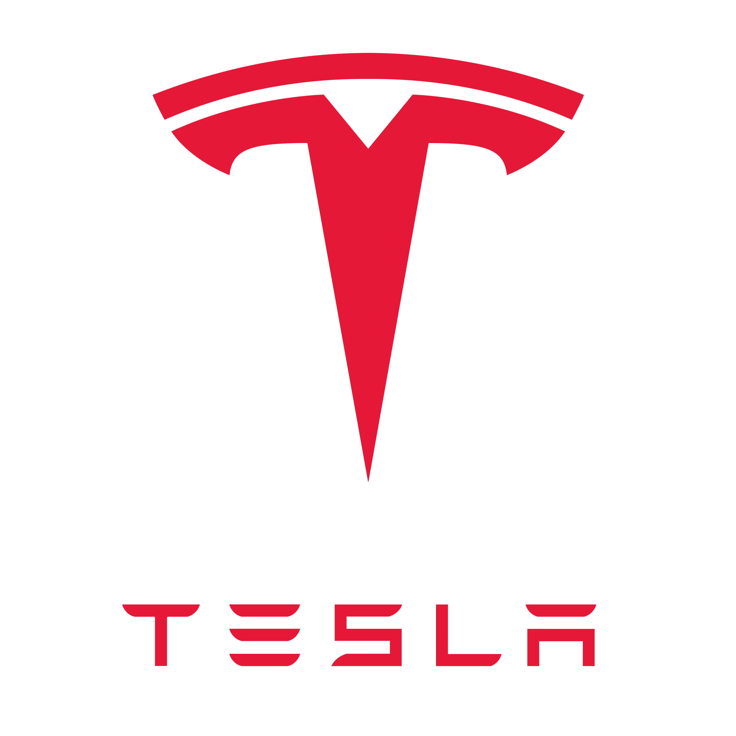 Tesla by Blibli