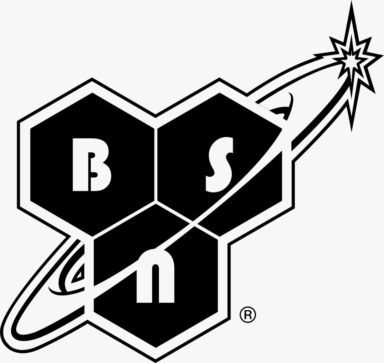 BSN OFFICIAL STORE