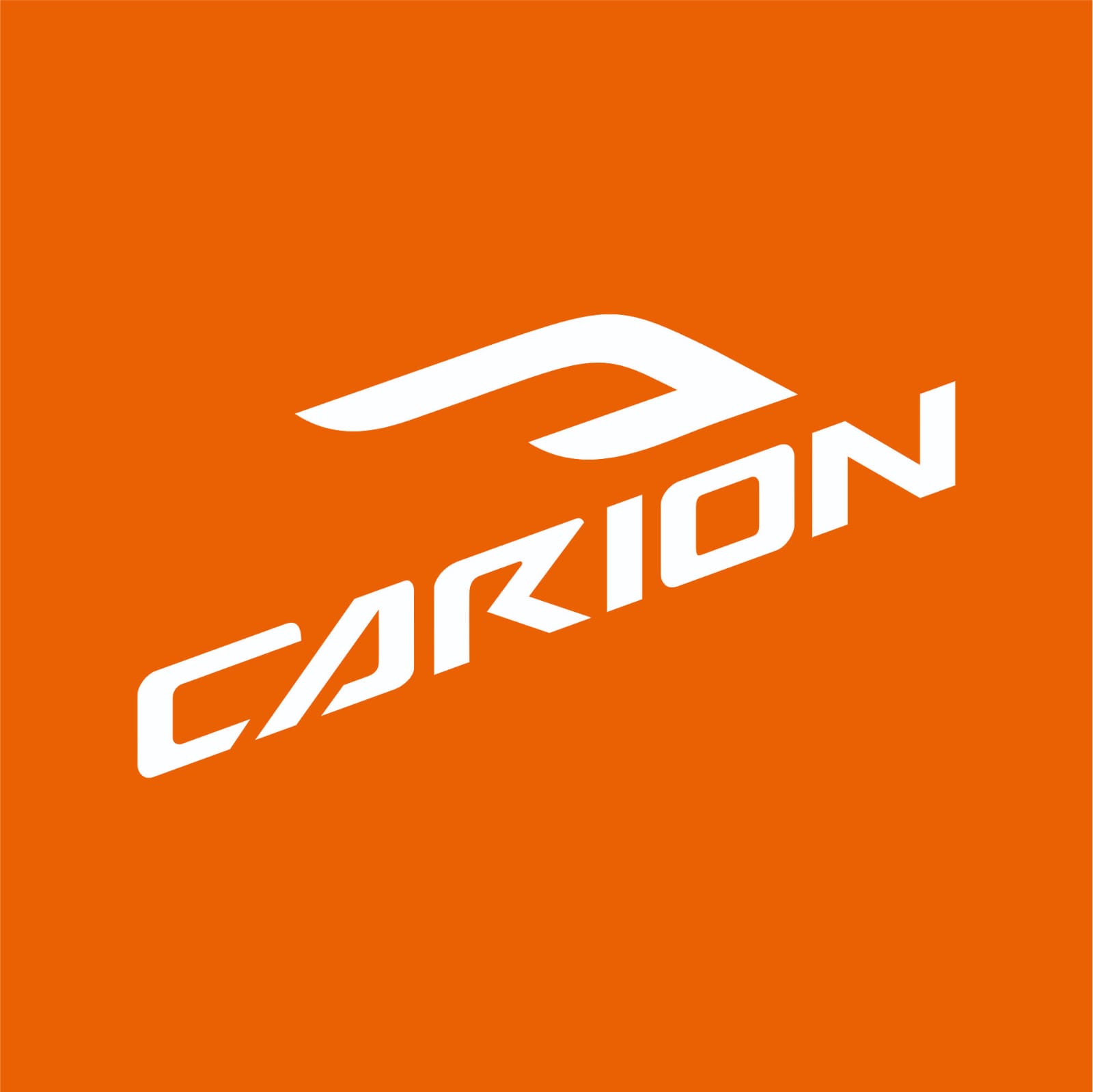 Carion