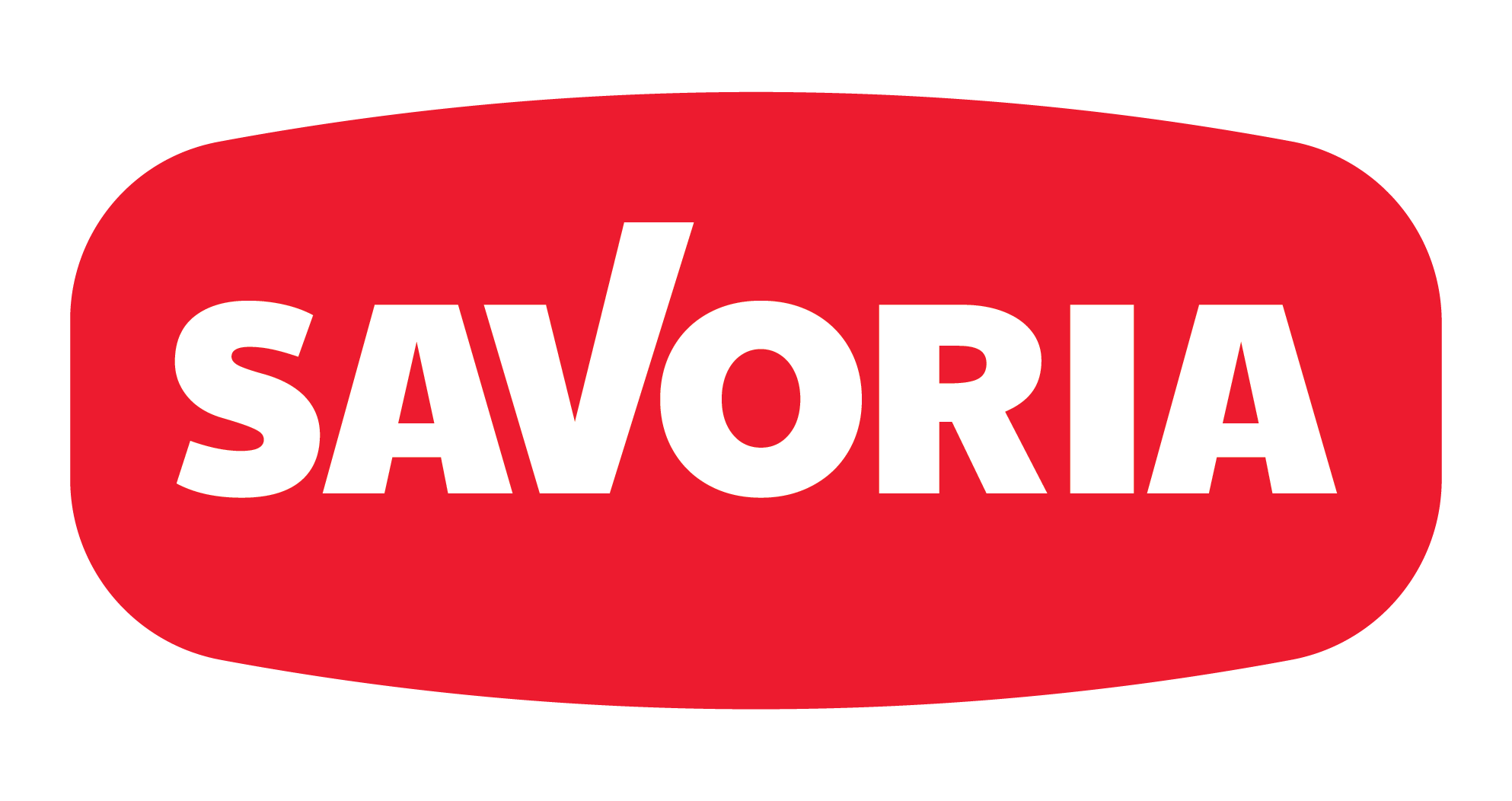 Savoria Snack Flagship Store