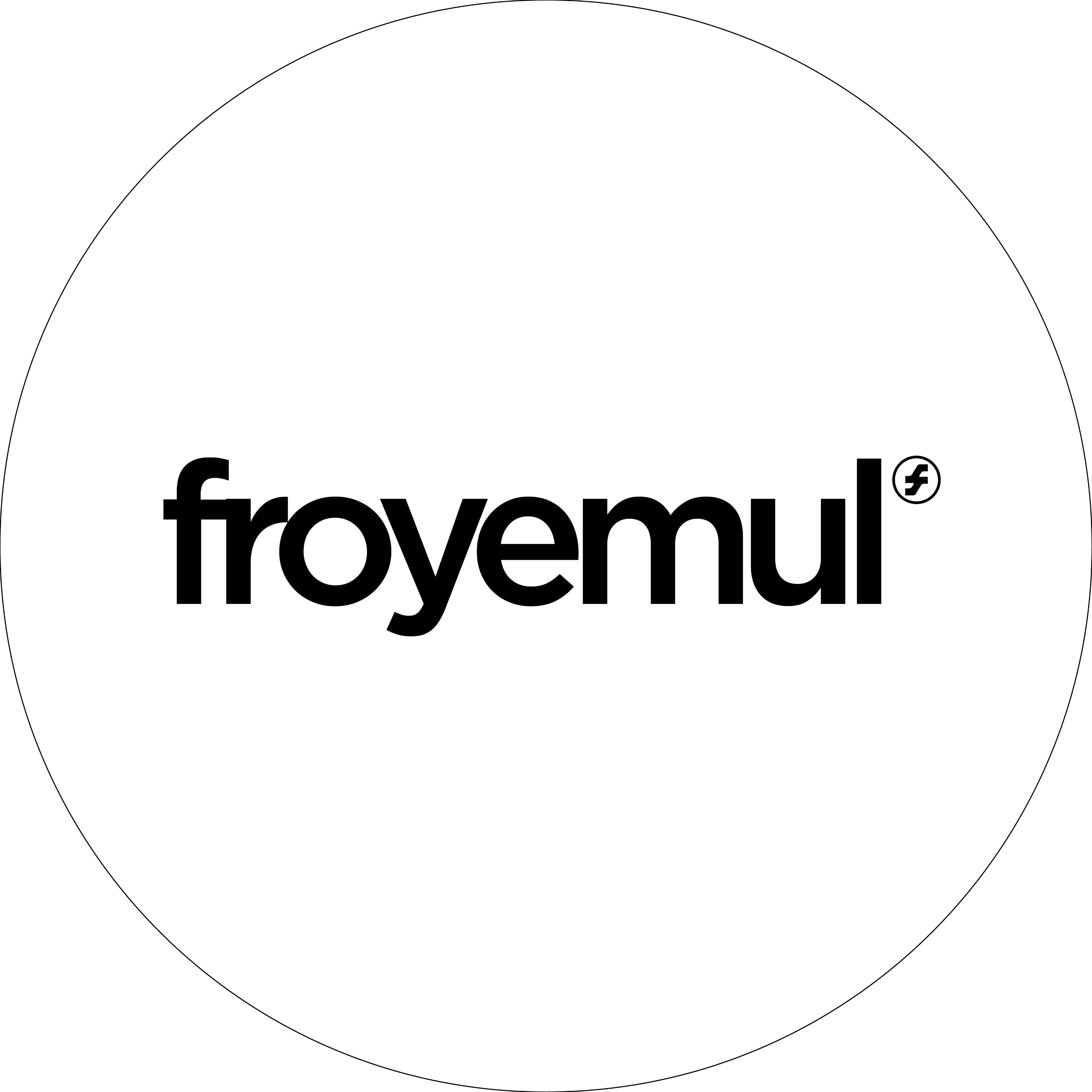Froyemul Flagship Store