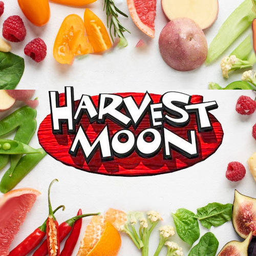 Jual Harvestmoon Bandeng Presto Bonafide Di Seller Harvest Moon