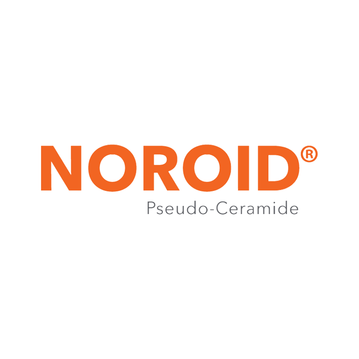Noroid Flagship Store