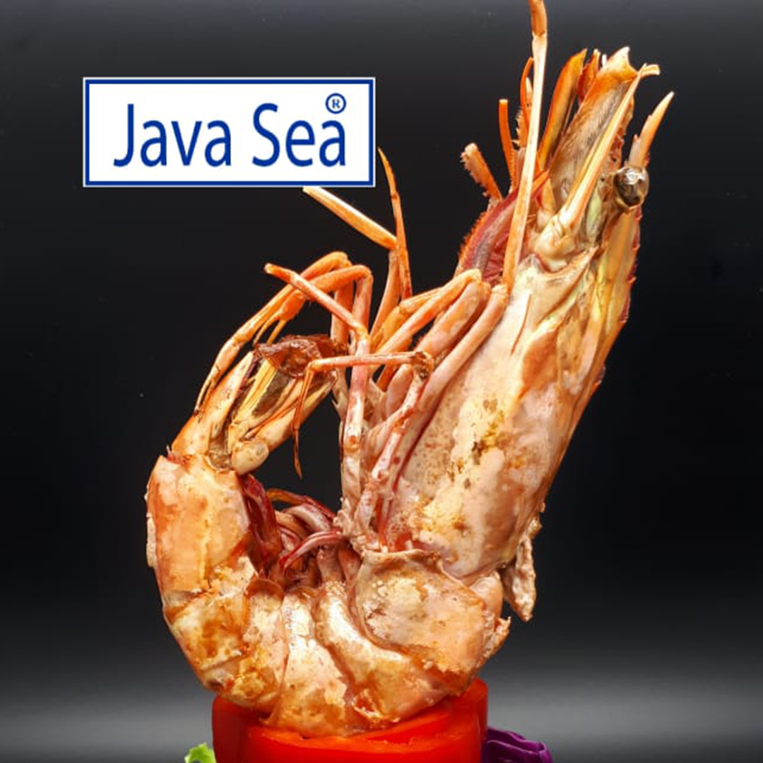 Java Sea Indonesia Official Store