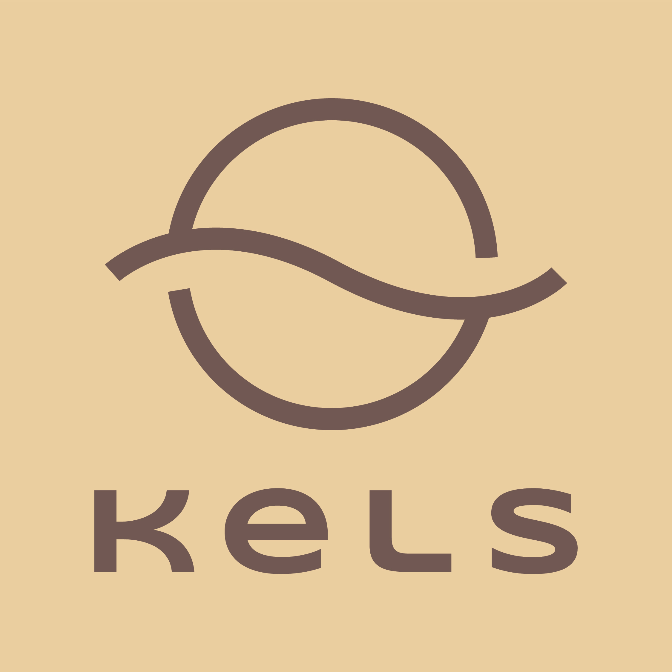 KELS Elektronik Official Store