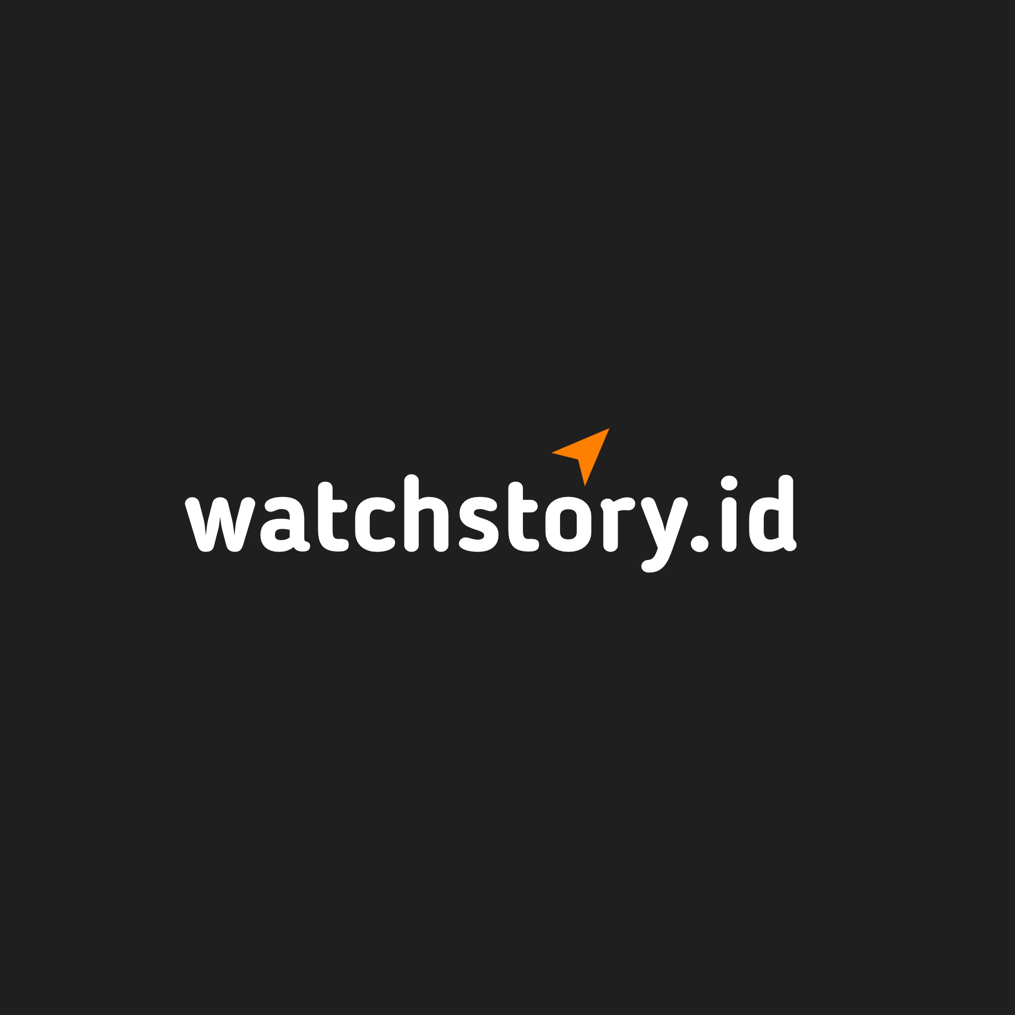 Watchstory Flagship Store