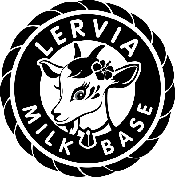 Lervia Official Store