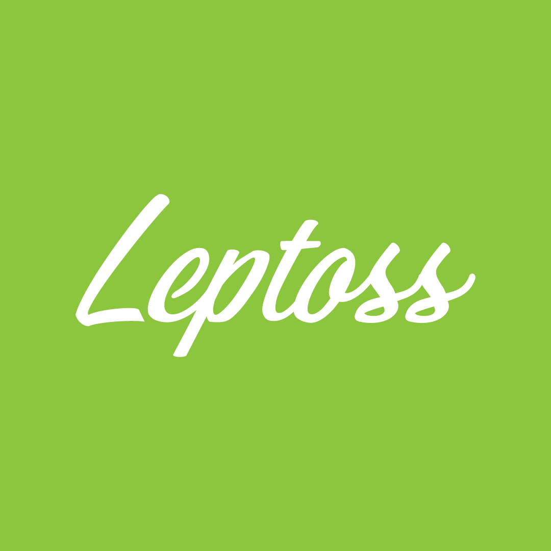 Leptoss Official Store